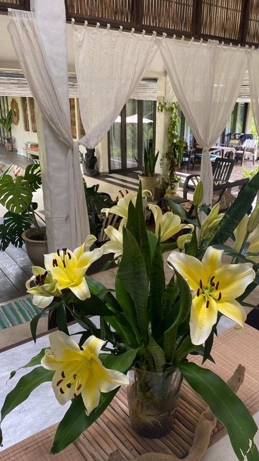 Maddekehaoo Eco Mansion Bed & Breakfast เกาะช้าง ภายนอก รูปภาพ