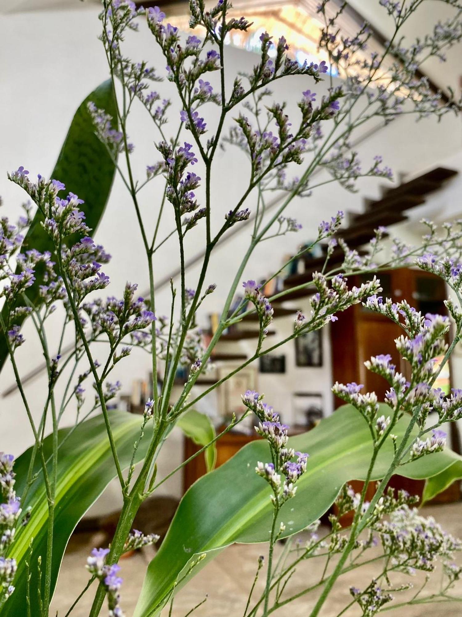 Maddekehaoo Eco Mansion Bed & Breakfast เกาะช้าง ภายนอก รูปภาพ